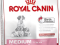 ROYAL CANIN MEDIUM STARTER MOTHER / BABYDOG 2x12KG