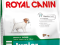 ROYAL CANIN MINI JUNIOR 8KG