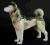 SIBERIAN HUSKY -CUDNA FIGURA- WAGNER & APEL