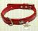 Obroża dla Psa!BostonTerrier! RedPaws!4PawsFashion