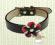Obroża dla Psa! York.Shihtzu! Flower !4PawsFashion
