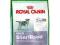Royal Canin MINI STERILISED 1,5kg  gratis FRISBEE