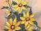 obraz olejny  -- Słoneczniki--