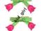 Gymboree Spinki BOW TULIP CLIP 2-PACK