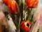 KOWALIK  - Czerwone tulipany 20x40  BCM !!!!