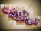 Magnolie Kwiaty z masą Obraz Malowany 150x70 HIT