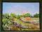 Pejzaż40x30 cm Olejny .Baranowska