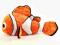 MASKOTKA Disney NEMO pluszowa XL 45 cm - HIT