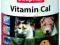 ANPOL Vitamin Cal 500g SENIOR starsze psy
