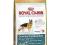 Royal Canin German Shepherd Adult 12kg gratisy