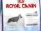 ROYAL CANIN MAXI JUNIOR 4kg + KURIER GRATIS