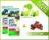 PURINA DOG CHOW ACTIVE 2x 15kg + 10x GRATIS