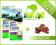 PURINA DOG CHOW SENIOR 2x15kg + 10xGRATIS
