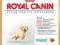 Royal Canin Golden Retriver Junior 12kg gratisy