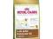 Royal Canin Labrador Retriver Adult 12kg gratisy