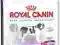 Royal Canin Giant Adult 15kg gratisy