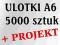 ULOTKA ULOTKI A6 5000 szt dwustronne + PROJEKT 48h