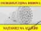 ZAROWKA GU10 48 LED CIEPLA ZAROWKI 80 60 24 21 20