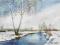 BRZOZY NAD RZEKĄ,ZIMA  (100% AKWARELI)