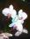 phalaenopsis biały z różowym środkiem