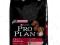 PRO PLAN ADULT ORIGINAL 14KG + 2,5KG gratis!!!