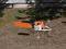 Stihl 026 SPROWADZONA Z NIEMIEC OKAZJA