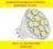 Żarówka MR11 12 led SMD 5050 12V DC ciepła 6 30 9