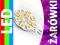 ZAROWKA DIODOWA G4 12 LED SMD 12V 21 24 BEZ DOPLAT