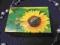 ~~ŻÓŁTY SŁONECZNIK~~ 12 x 8 x 4 wys.