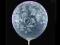 Balony 36cm Crytal Clear Róże 6 szt 14-204-038/6a