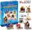 PUZZLE 3D TRADYCYJNE DOMKI 8 szt - WROCŁAW - 24H