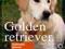 Golden retriever - Wychowanie Rasy Poradnik NOWA!