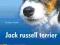 Jack Russell Terrier - Penizek Dorothea
