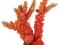 DEKORACJA DO AKWARIUM KORAL 18,5cm TX-8810