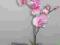 SZTUCZNY STORCZYK Phalenopsis 58 cm różowy