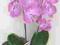 SZTUCZNY STORCZYK Phalenopsis 43 cm liliowy