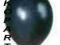 BALONY 12 CALI METALIK black balon belbal