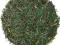 HERBATA ZIELONA SENCHA JAPAN STYLE 50G !!!!!!!!!!
