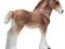 ŹREBAK RASY CLYDESDALE 13671 figurka Schleich