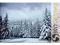 TIME4ART Obraz Zima na płótnie 120x80 cm 2049