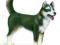 PIES HUSKY '08 16371 figurka Schleich