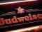 Reklama Neon BUDWEISER / BUD  szyld prezenter