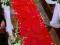 Czerwony Dywan - wypożyczalnia dekoracji na ślub !