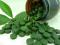 SPIRULINA HAWAJSKA - 250 tabl - żelazo, witaminy
