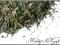 Herbata zielona SENCHA JAPAN STYLE 50g Tradycyjna!