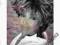 Tina Turner - What's Love Got To Do