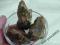 bursztyn bałtycki z żużlem -surowy - 3 bryłki