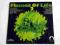 Flames Of Life 2 ( Lp ) Super Stan