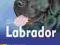 Labrador_Poradnik opiekuna