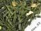 ZIELONA SENCHA LEMON  50g!!!